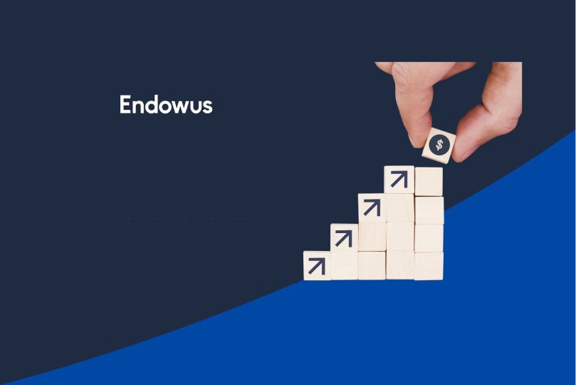 Endowus Review