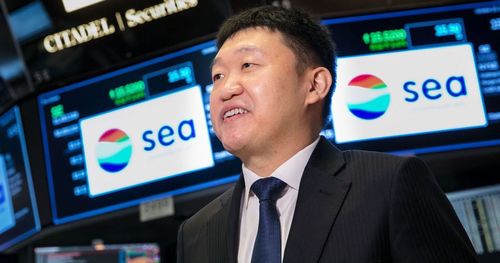 sea limited share price plunge