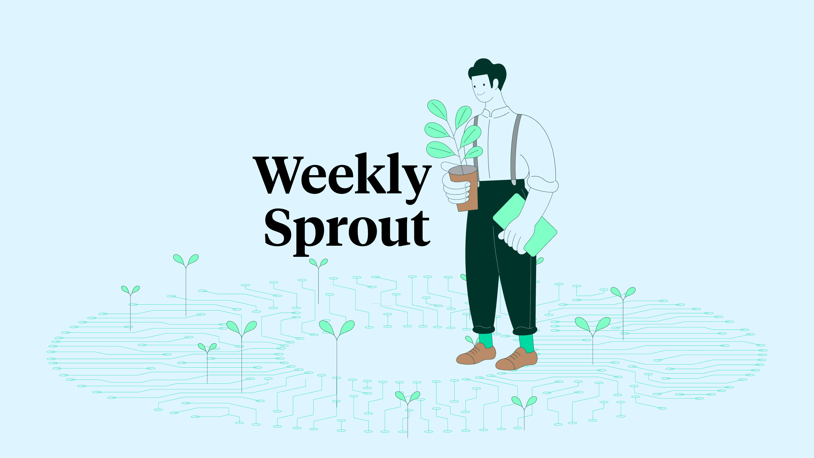 Weekly sprout image